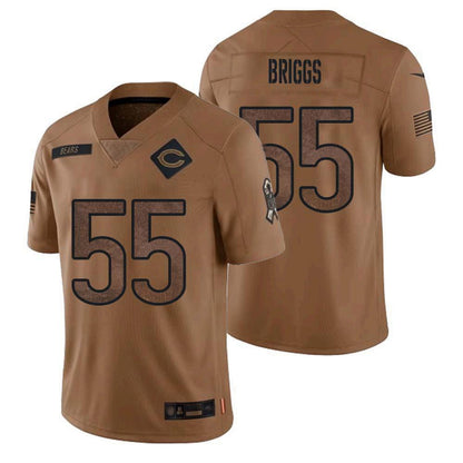 C.Bears #55 Lance Briggs Player Brown Salute To Service Limited Football Jerseys